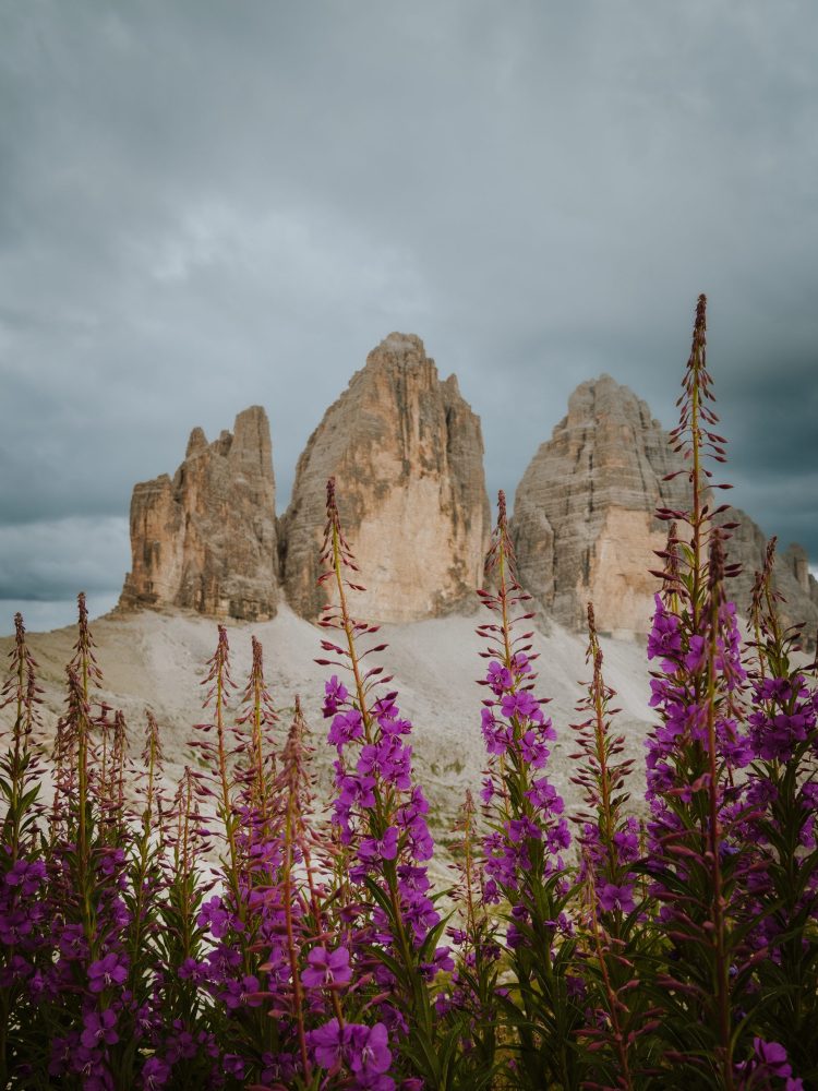 Tre Cime di Lavaredo