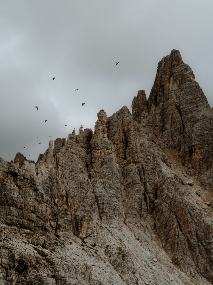 Gracchi alpini sul monte Paterno